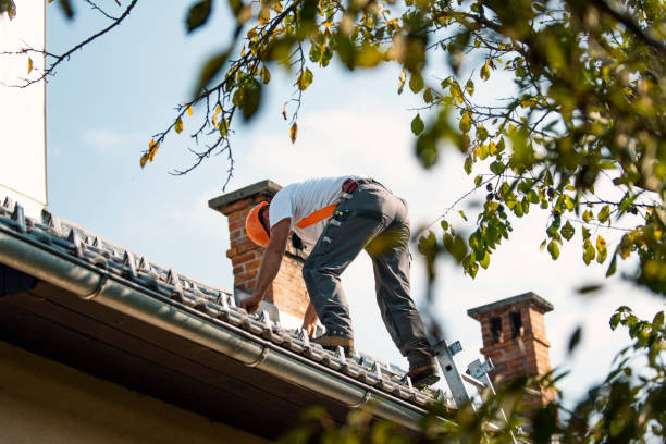 Roof Insulation Installation in Hibbing, MN