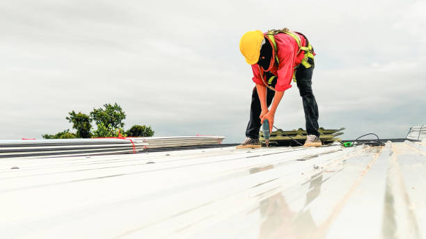 Best Solar Panel Roofing Installation  in Hibbing, MN